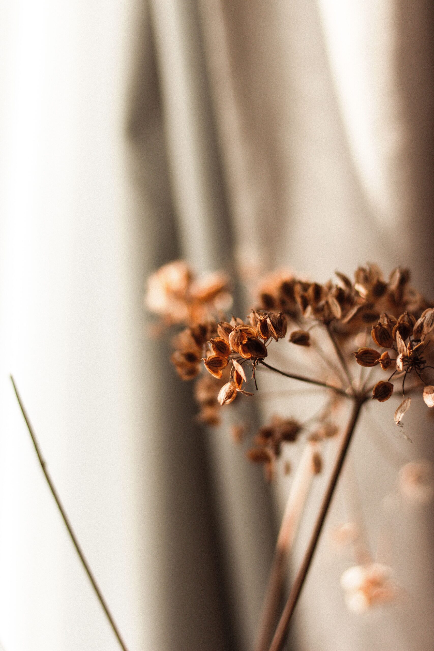 pexels photo 7664130 7664130